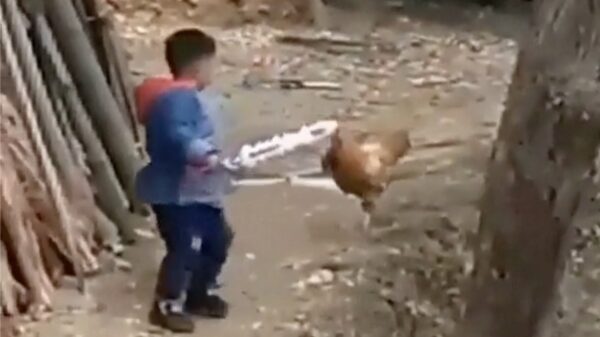 Terrorhaan laat zich niet zomaar 'onthoofden' door een irritant jochie