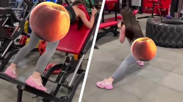 Opeens heb je het: je gaat weer eens naar de sportschool