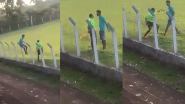 Voetbalsupporter klimt over hek om de grensrechter een lesje te leren