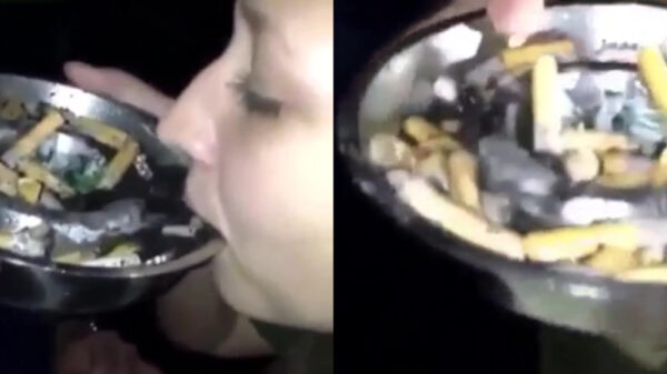 Asbakken leegzuipen gaat het helemaal worden deze zomer