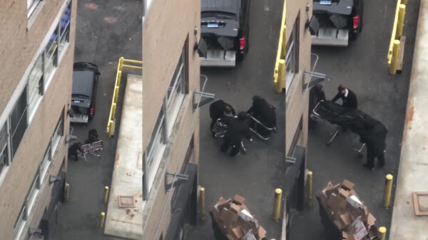 Als faalhazen bij een begrafenisonderneming komen te werken