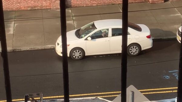 De auto blijft nog steeds de perfecte plek voor een nummertje