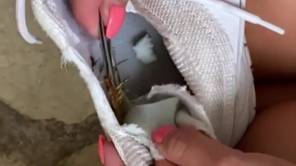 Even een extreem grote nope uit je schoen trekken