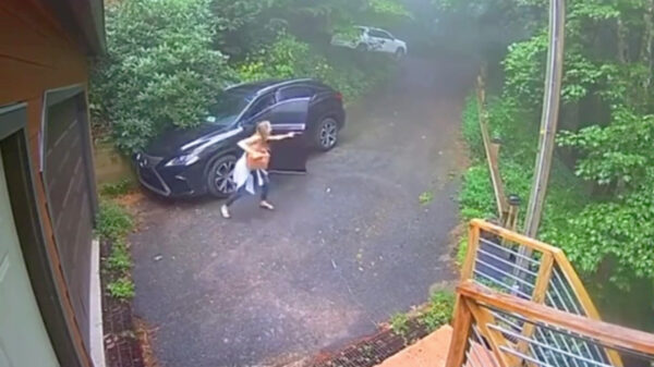 Nietsvermoedende dame vindt harige en gevaarlijke indringer in haar Lexus