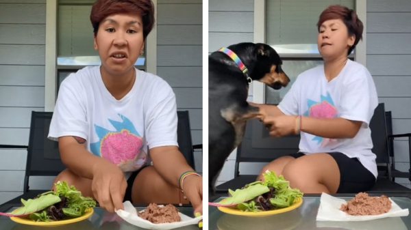 Wereldverbeteraar bewijst dat haar hond vrijwillig vegetariër is