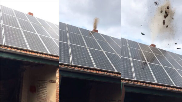 Duitse boer heeft dé oplossing tegen een kraaiennest in je schoonsteen