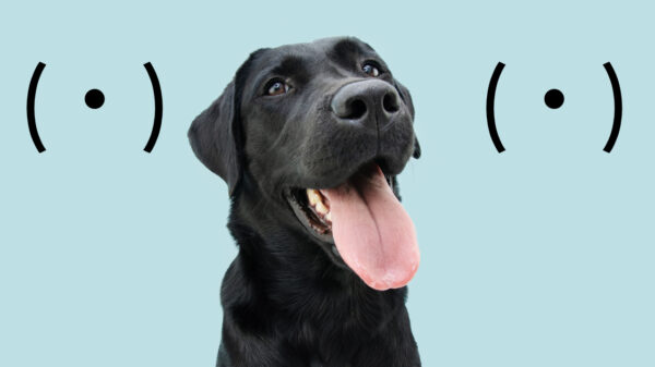 Als je voor de allereerste keer boebies ziet