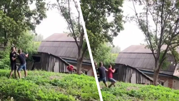 Terug naar de tekentafel: boom omvertrekken gaat niet van een leien dakje
