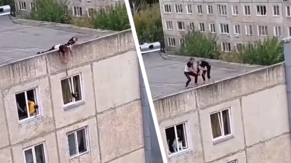 Helden van de dag redden poesje uit benarde positie op bovenste verdieping flatgebouw