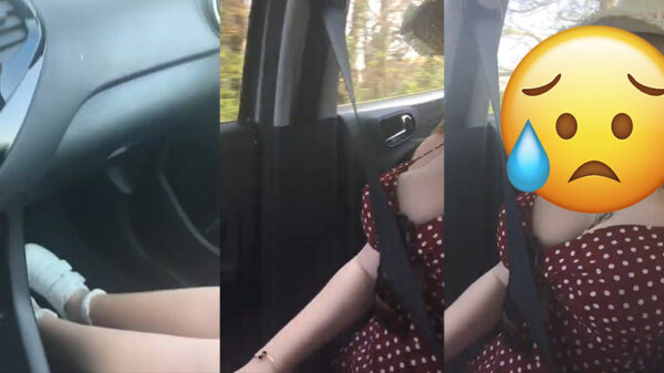 Eeuwige vrijgezel maakt een hobbelige roadtrip met zijn nieuwe vriendin