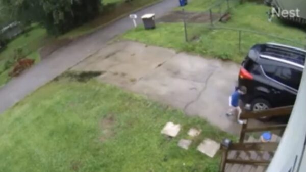 Koter laat op geheel eigen wijze weten dat 'ie vandaag niet naar school gaat