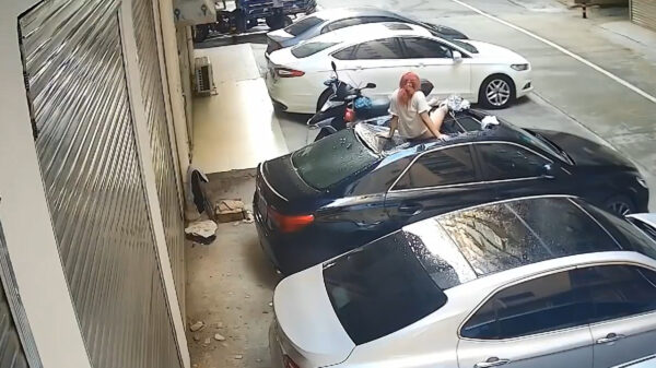 Veilig vrijen: tortelduifje pleurt tijdens het vozen uit het raam