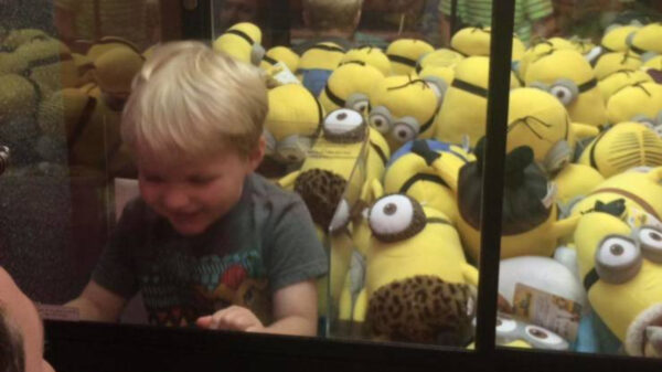 37 keer bewijs dat koters niet bijster intelligent zijn