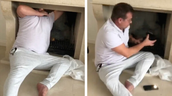 Wel eens een verdwaalde ekster uit je schoorsteen moeten trekken?