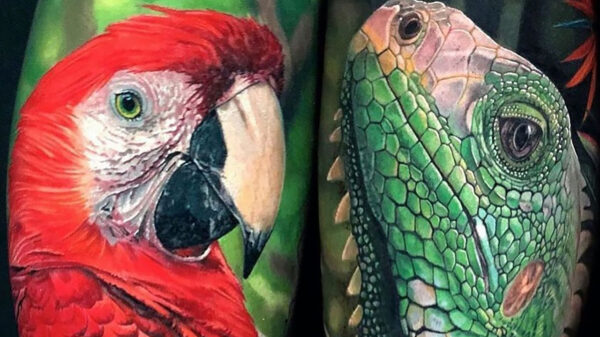 Liefhebbers van tatoeages komen weer volledig aan hun trekken (230)