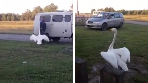 Als je chickie weer dolblij is dat je weer thuis bent