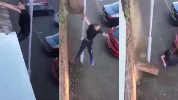 Parkourkneusje kan de komende tijd stevig revalideren