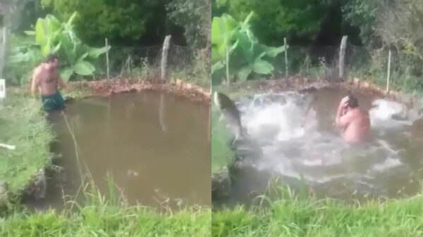 Als je niet kunt vissen maar toch moet eten