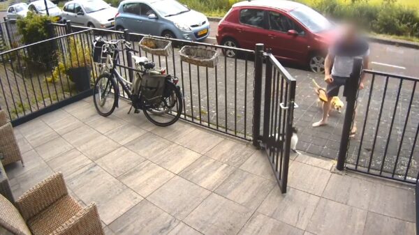 Flapdrol met loslopende hond krijgt het niet voor elkaar om kat te schoppen