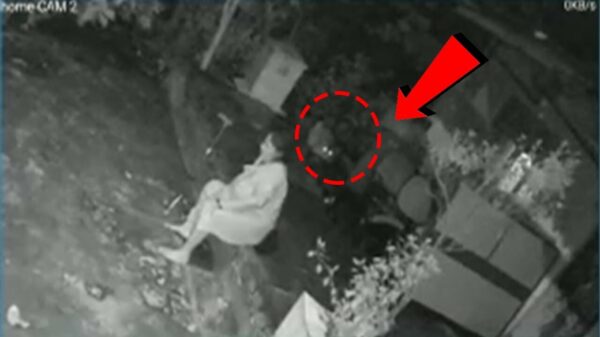 WOW! Vrouw wordt in haar achtertuin aangevallen door een luipaard