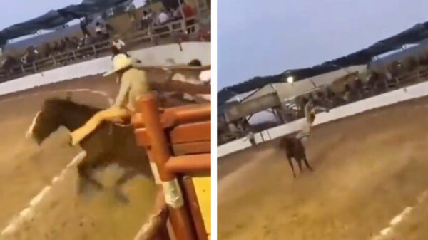 Dit gebeurt er als John Cena gaat rodeorijden