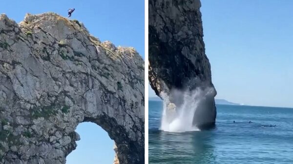 Waaghals kan op zoek naar een nieuwe ruggengraat als hij van klif springt