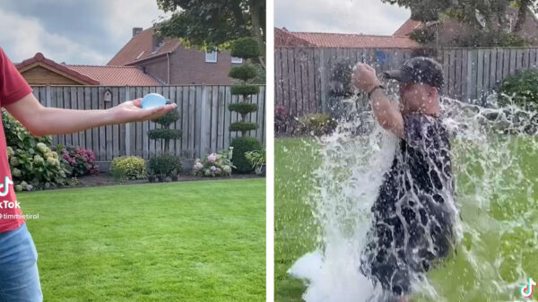 Hey Timmie, vang dan!