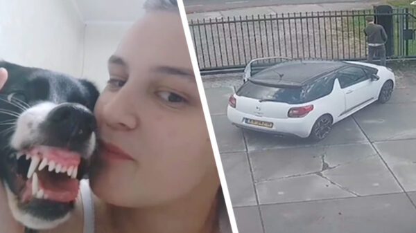 Alle fails van week 39 op een rij