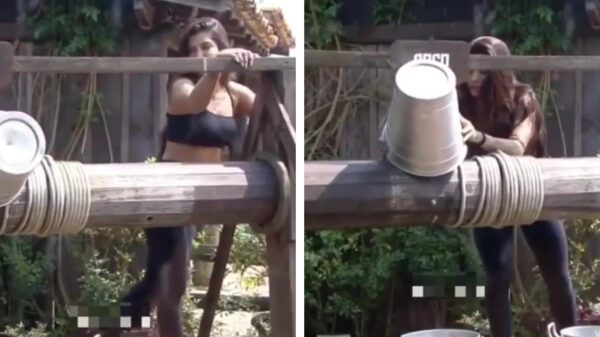 Vrouw die put niet snapt zorgt voor facepalmmomentje van de dag