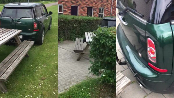 Als luie faalhazen een picknicktafel moeten verplaatsen