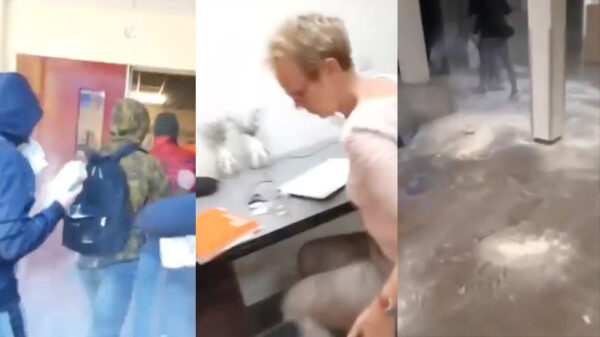 Schooltuig leegt een aantal zakjes meel als hilarische examenstunt