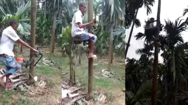 Handige Indiër bouwt superhandige boomfiets