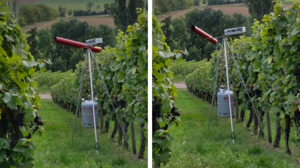 Met dit luchtafweergeschut houd je de vogels wel uit je tuin
