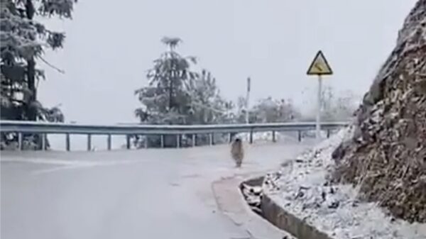 Brace yourself, het gaat weer glad worden