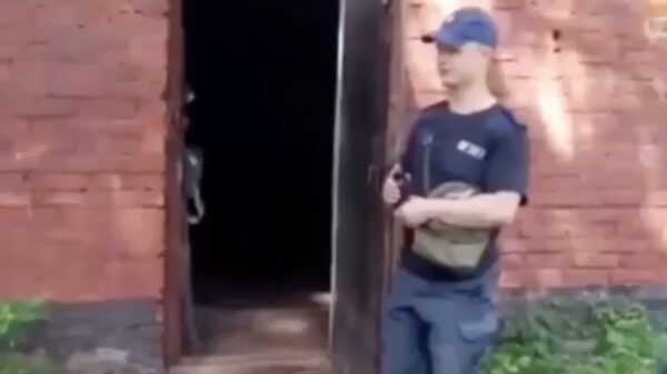 De kracht van een nieuw soort vuurwerk gedemonstreerd door een Russische professional