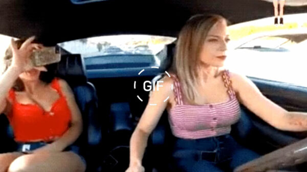 Gifdump: 20 mensen die hun rijbewijs bij een pakje boter kregen