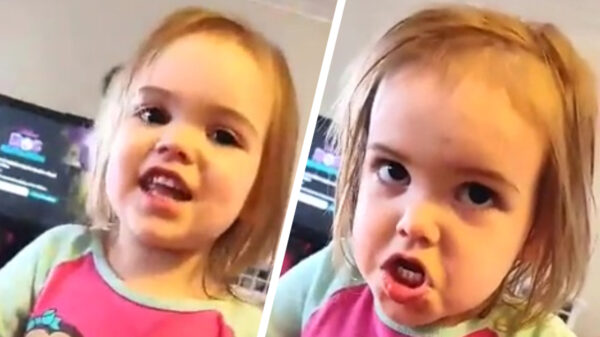 Is deze koter nou keihard aan het vloeken of wil ze chocola?