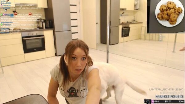 Opgewonden hond bemoeit zich met paaldans-sessie