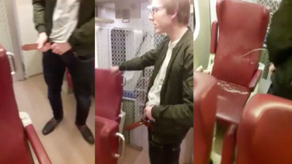 Nederlandse Spoorwegen op zoek naar bezopen smeerpijp die trein onderzeikt