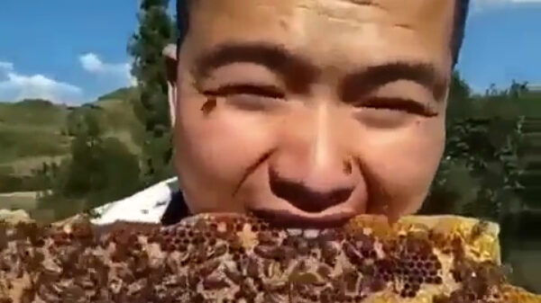 Niets lekkerder dan een grote hap extreem verse honing