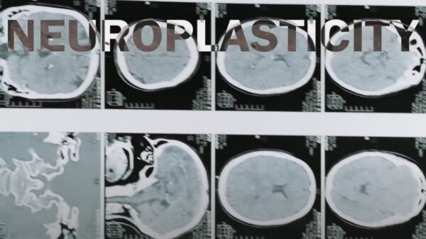 Wat gebeurt er in je lichaam als je kapt met vieze filmpjes kijken?