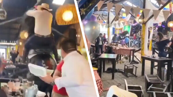 Ehm ober, er ligt een paard in mijn soep!