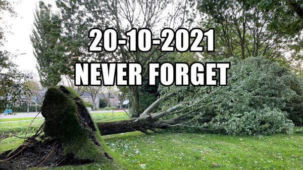 Beelden van de verschrikkelijke storm des doods die vannacht over Nederland raasde