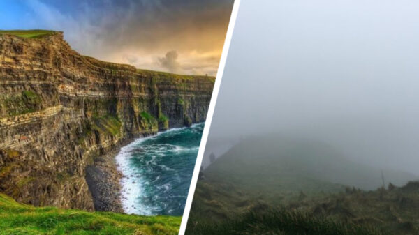 Wat een ellende: deze 20 dingen kwamen totáál niet overeen met de realiteit