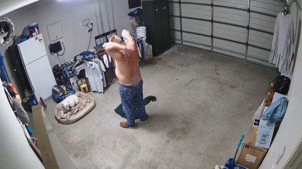 Kerel kan letterlijk spreken van een muizenplaag in zijn garage