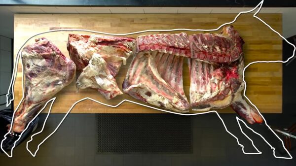 Zo trekt een slager een complete koe uit elkaar