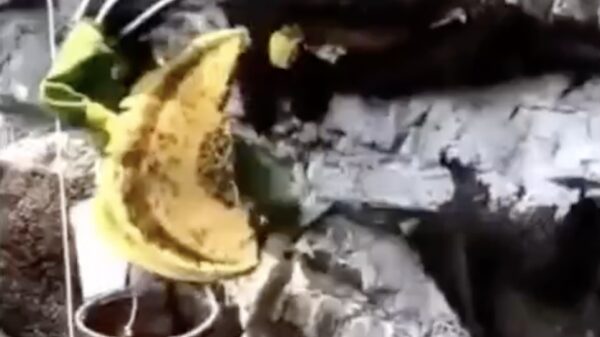 Het leven van een imker gaat niet altijd over rozen