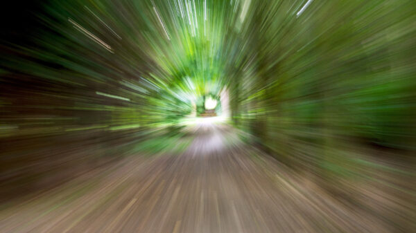 Dit ervaren mensen met auditieve hallucinaties