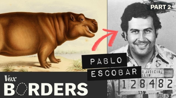 Hoe drugsbaron Pablo Escobar een nijlpaard probleem in Colombia creëerde