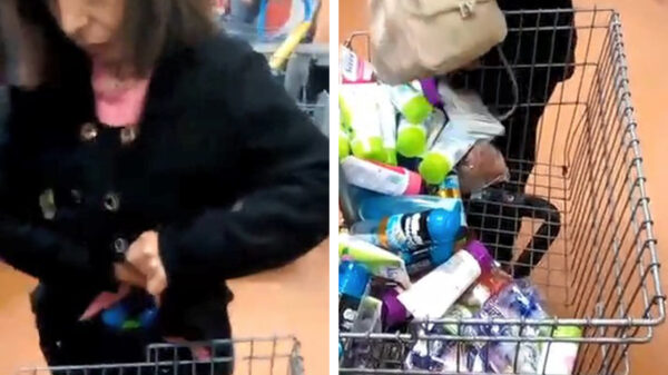 Pakezel tilt proletarisch winkelen naar een hoger niveau